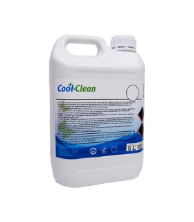Ambientador de sala frutal Cool & Clean - Garrafa de 5 L
